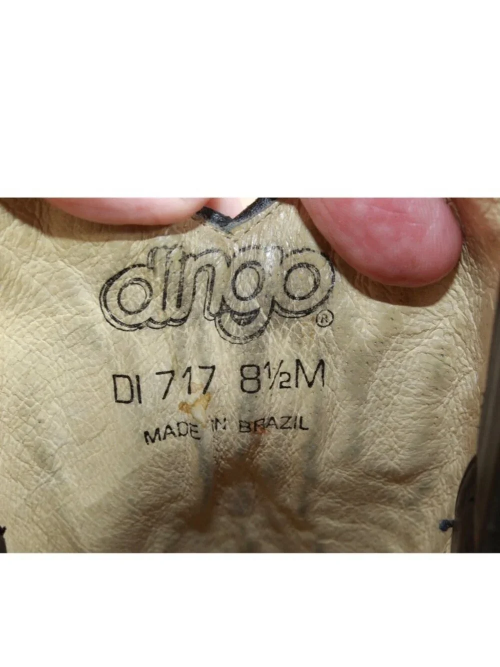 dingo very good